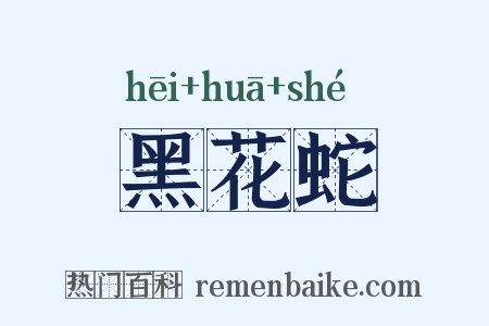 黑花蛇是什么意思的图片